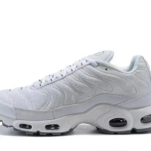 Nike Air Max Plus Sneakers (19 style) 3
