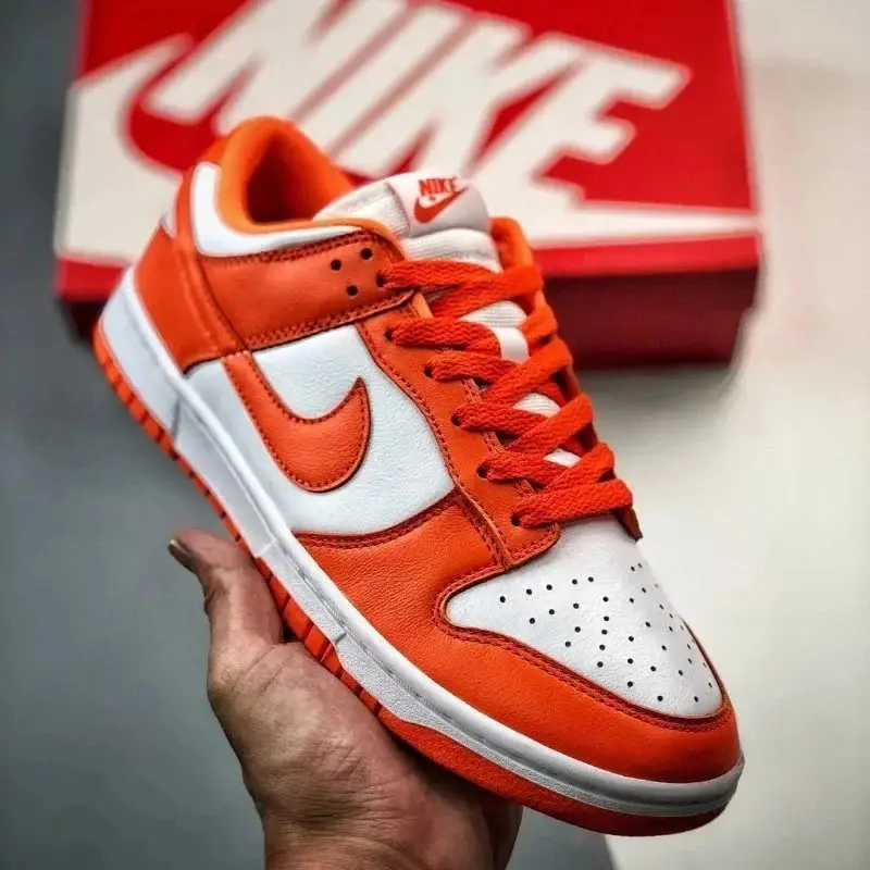 Nike Dunk Sneakers 2